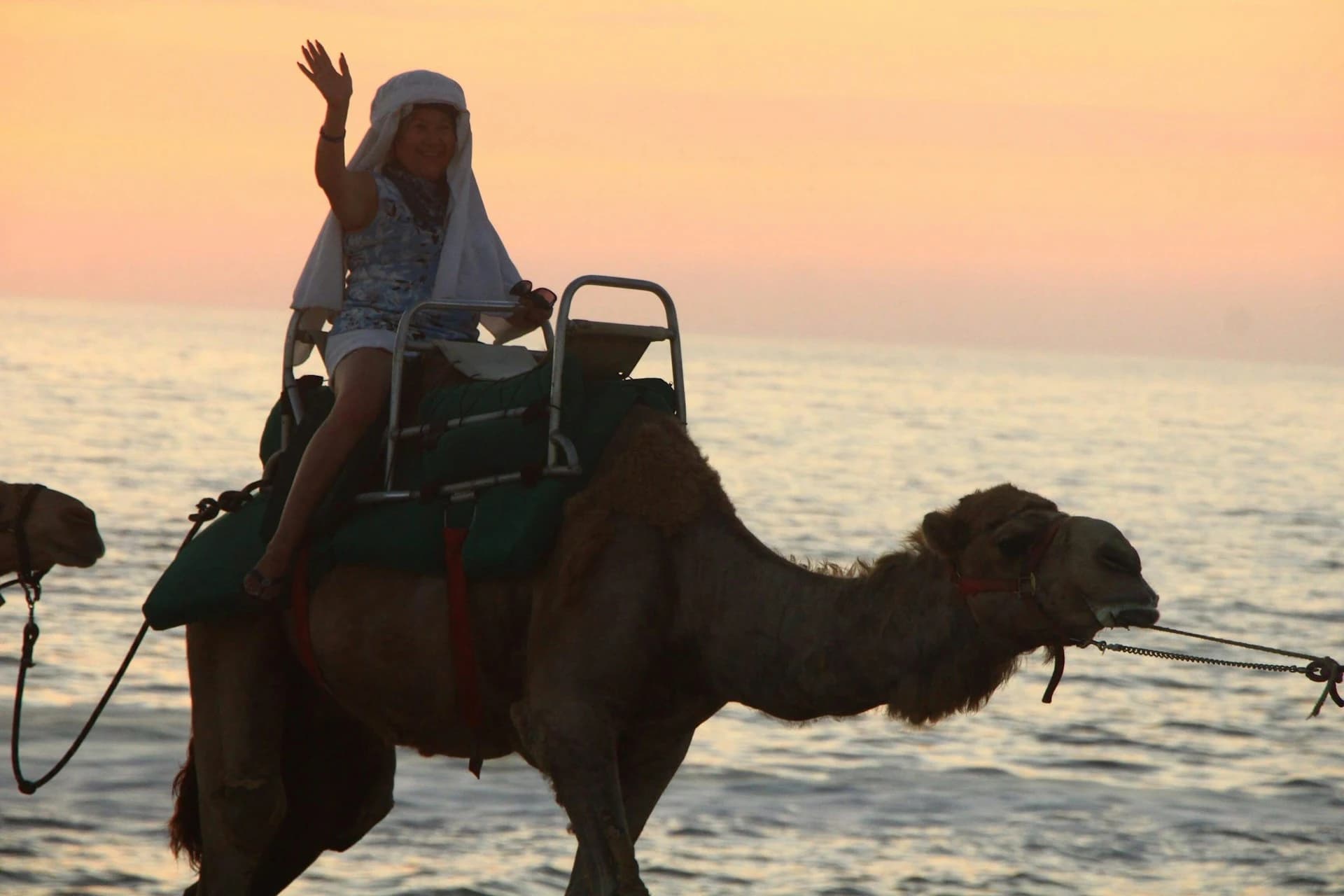 Tourists riding camels through Baja desert dunes near the Pacific coast, Cabo San Lucas
