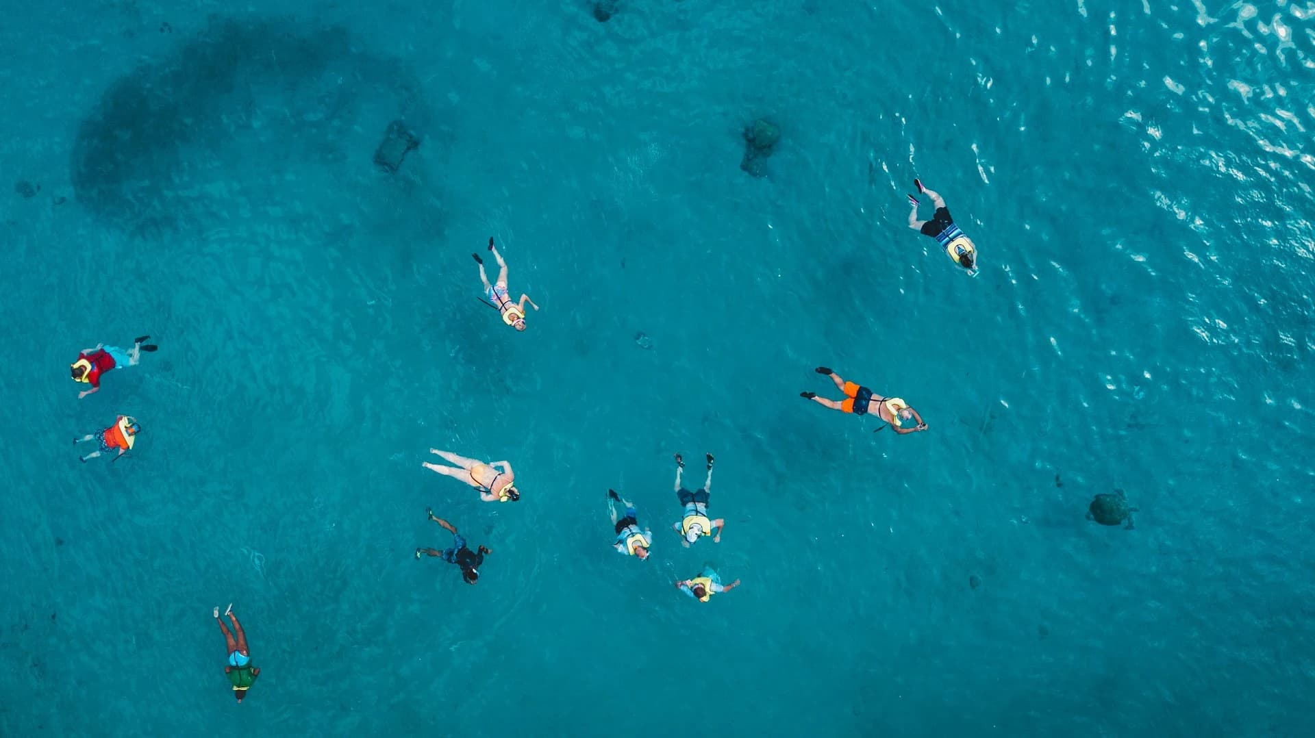 Snorkeler exploring the clear blue waters at Pelican Rock near Land's End in Cabo San Lucas