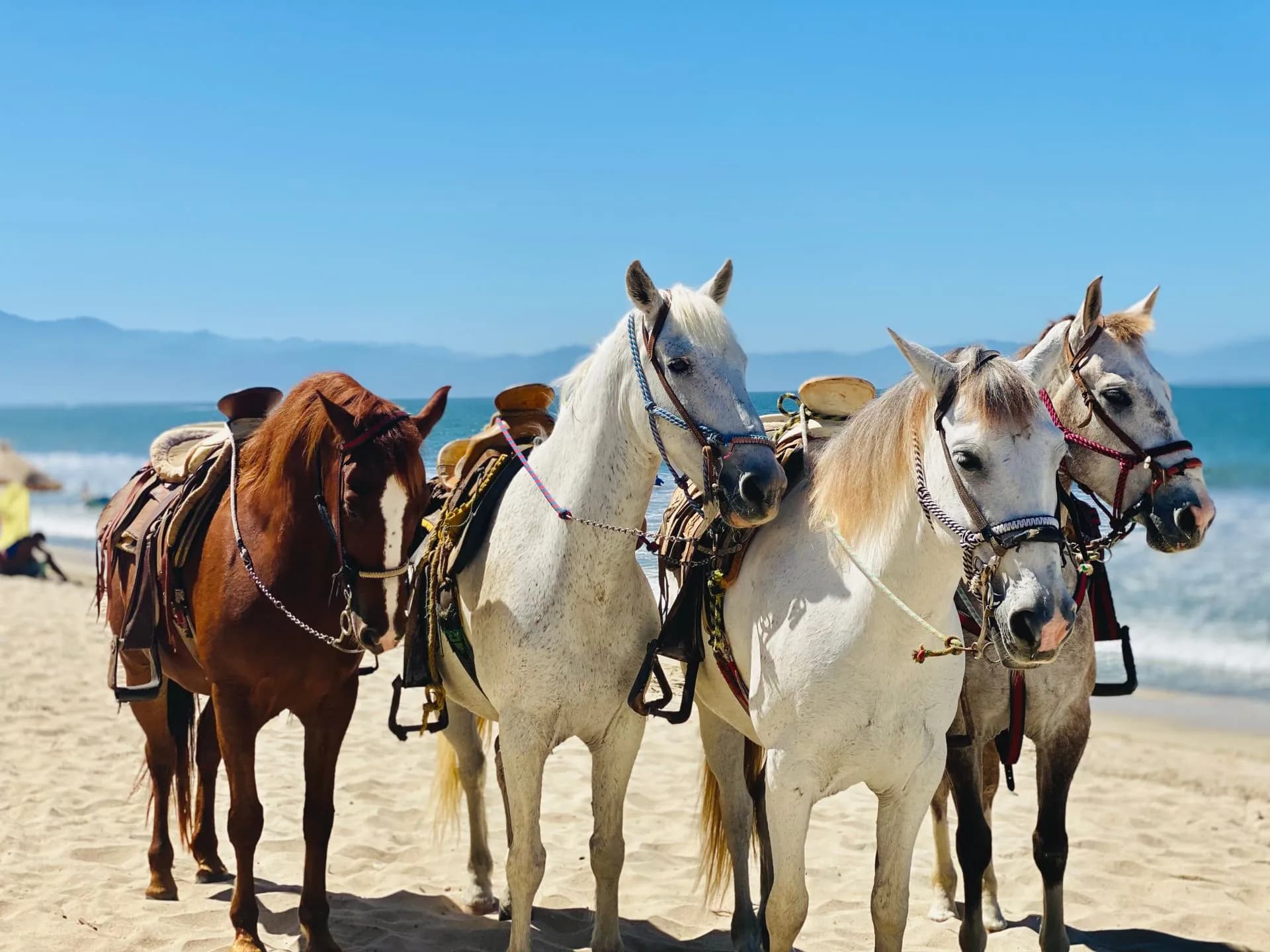 Riders on horseback along the Pacific beach at Playa Migriño near Cabo San Lucas, Mexico