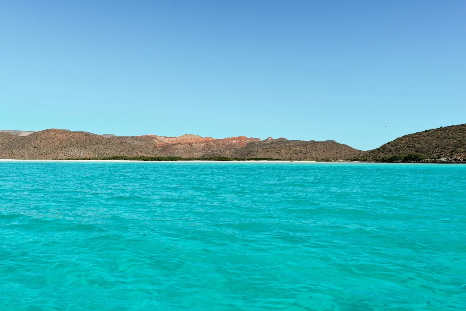 Warm sunny April day on the La Paz waterfront with calm turquoise Sea of Cortez and palms
