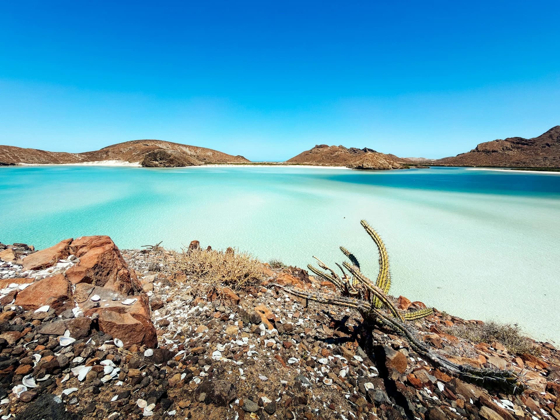 Turquoise shallow waters of Playa Balandra with the iconic Mushroom Rock, La Paz, Mexico