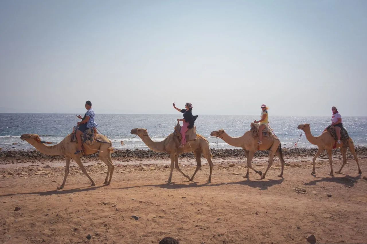 Riding a camel along the beach on a Cabo Adventures camel tour in Cabo San Lucas