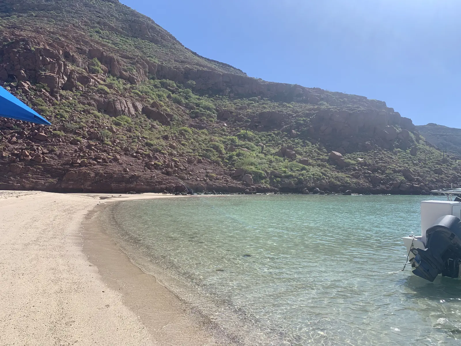 Ceviche lunch served at a secluded bay on Isla Espiritu Santo, La Paz, Mexico