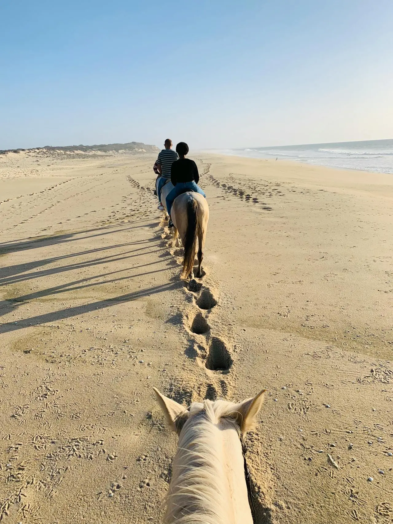 Cabalgando por la playa del Pacífico en un tour a caballo en Cabo San Lucas
